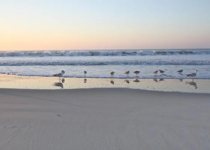 Array Of Sunshine Condo Isle of Palms